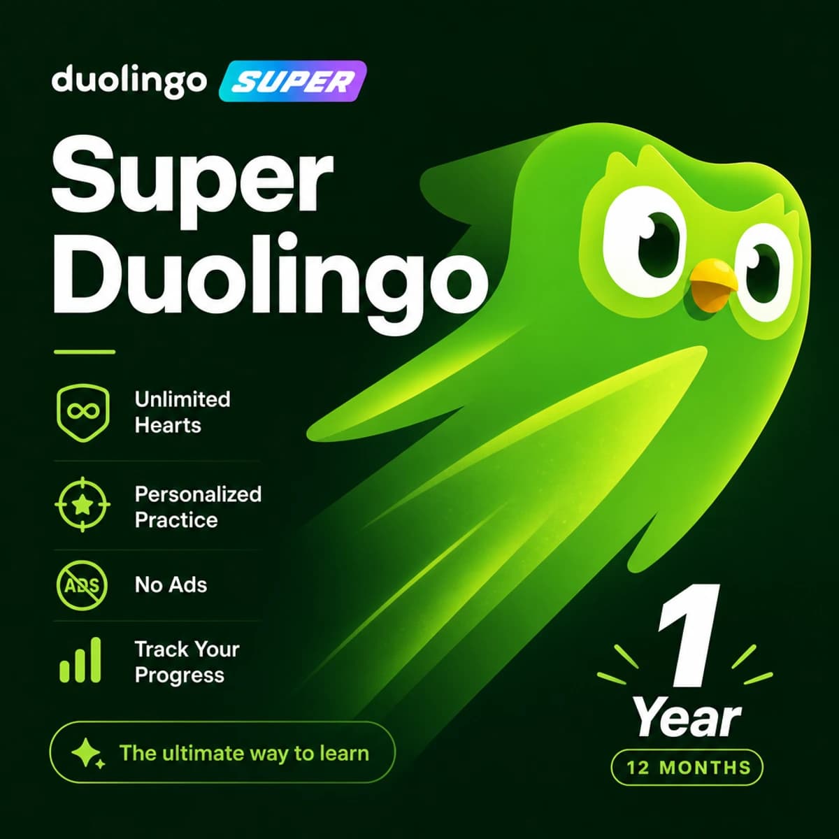 Super Duolingo — 1 Year Upgrade