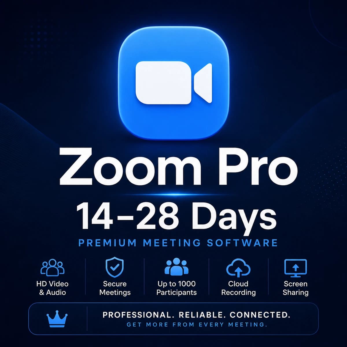 Zoom Pro — 14 Days artwork