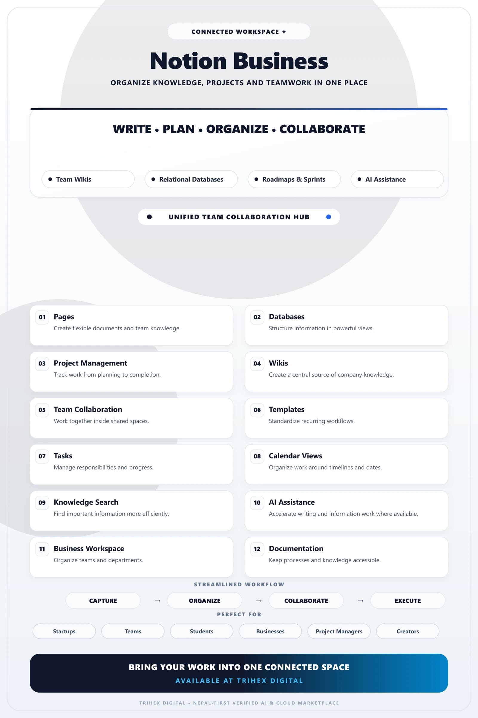 Notion Business — 12 Months feature infographic