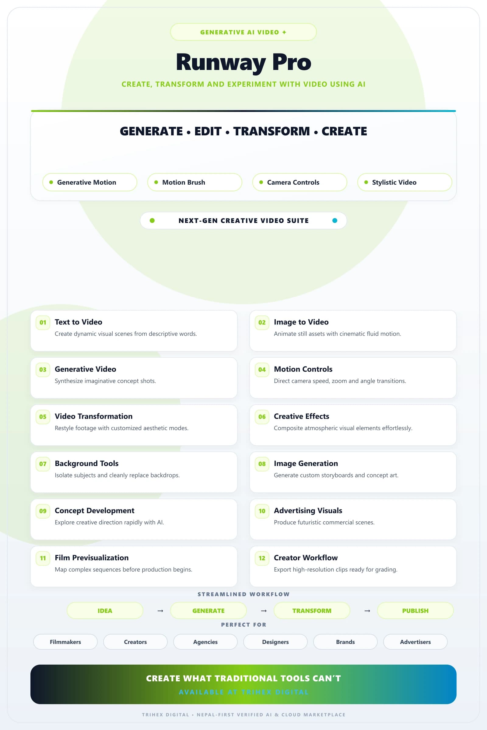 Runway Pro — 12 Months feature infographic